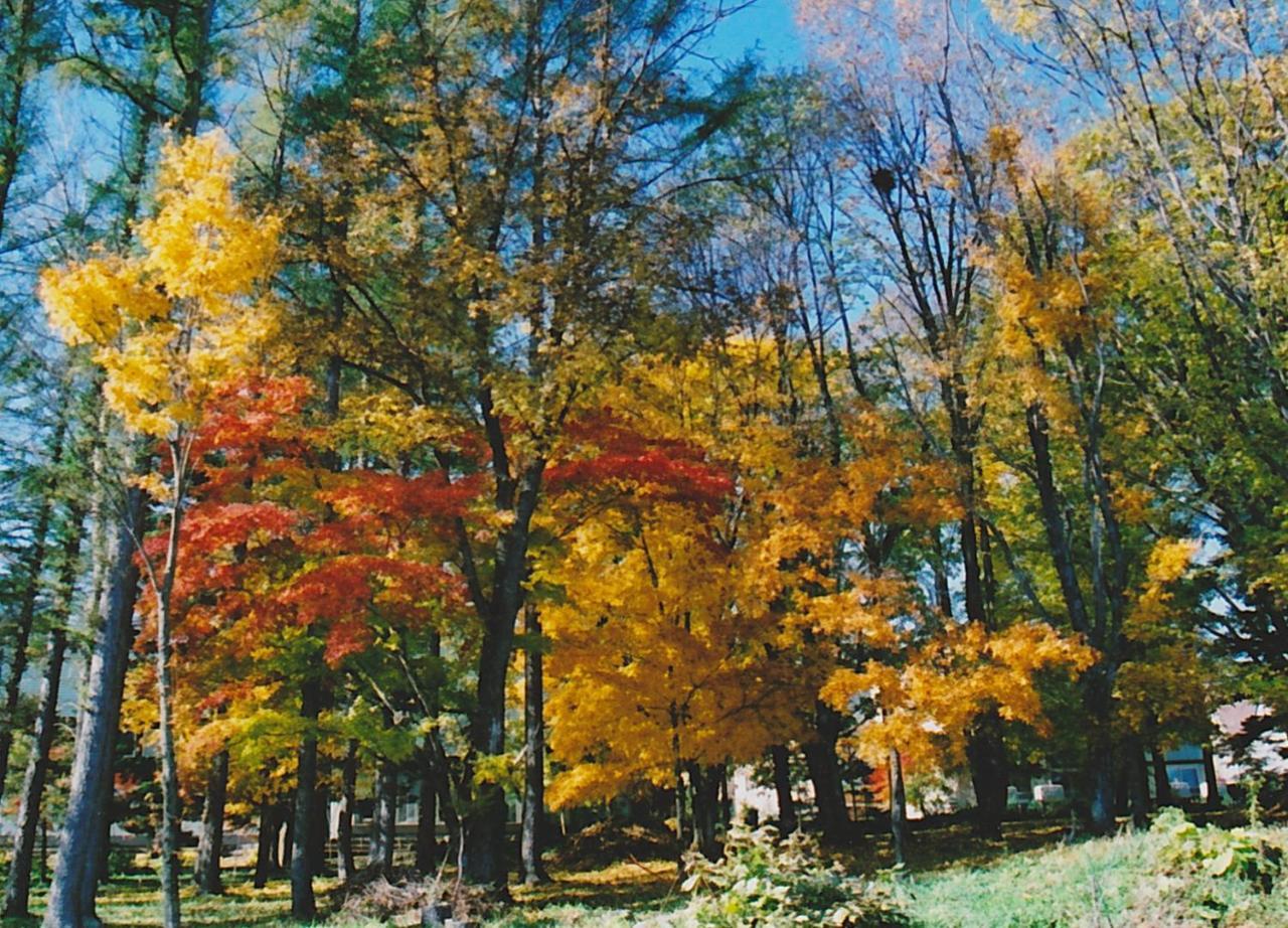 Cottage Morino Nakamatachi Furano Luaran gambar